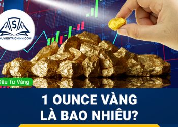 Polkadot là gì? Thông tin tổng quan về đồng DOT Coin