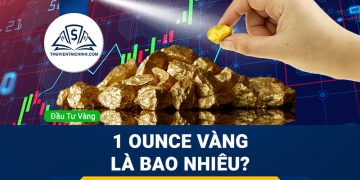 Polkadot là gì? Thông tin tổng quan về đồng DOT Coin