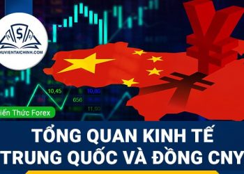 Khám phá nền kinh tế New Zealand có ảnh hưởng gì đến toàn cầu