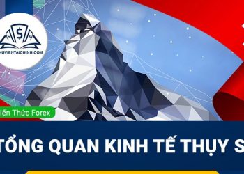 Khám phá nền kinh tế New Zealand có ảnh hưởng gì đến toàn cầu