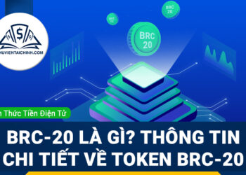 BRC-20-là-gì-Thông-tin-chi-tiết-về-token-BRC-20