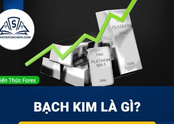 Bạch kim là gì