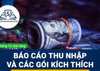 Báo cáo thu nhập, các gói kích thích và dữ liệu kinh tế