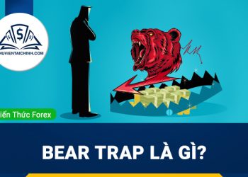 Bear trap là gì? Hướng dẫn trader phòng chống hiệu quả
