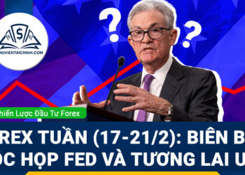 Forex tuần (17-21/2): Biên bản cuộc họp của Fed sẽ khiến USD tăng mạnh?