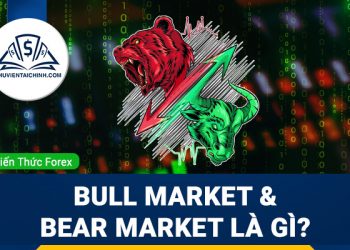 Bull Market và Bear Market là gì? Và sự khác nhau bạn nên biết