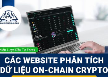 Tổng hợp các website hỗ trợ phân tích dữ liệu on-chain Crypto hiệu quả