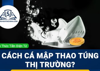 Cách cá mập thao túng thị trường như thế nào?