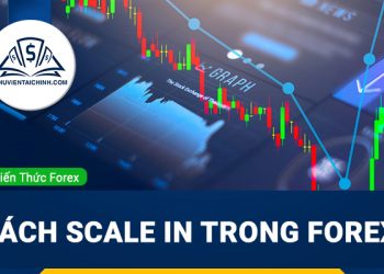 Cách scale in trong giao dịch ngoại hối