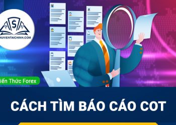 Cách tìm báo cáo COT nhanh và chính xác nhất cho trader