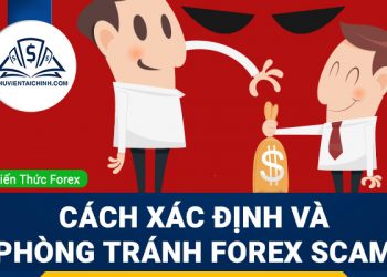 Forex Scam là gì? Hướng dẫn xác định và phòng tránh Forex Scam