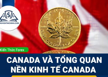 Mối quan hệ thị trường Forex với thị trường cổ phiếu quốc tế
