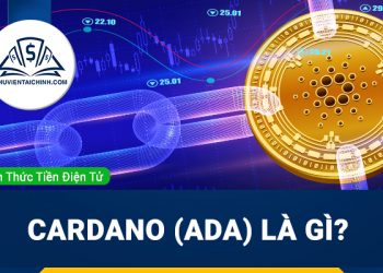 Cardano (ADA) là gì? Tổng quan về dự án Cardano