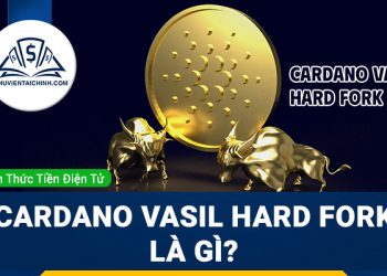 Cardano Vasil hard fork là gì?