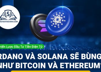 Cardano và Solana có thể bùng nổ như Bitcoin và Ethereum hay không?