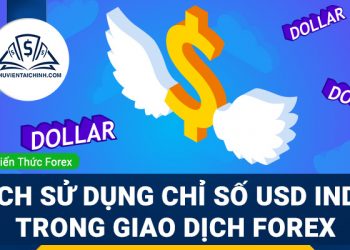 Cách Sử Dụng Chỉ Số USD Index Trong Giao Dịch Forex