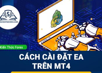 Thống kê hiệu suất giao dịch trong ngoại hối