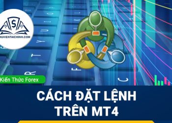 Thống kê hiệu suất giao dịch trong ngoại hối
