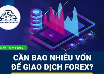 Thống kê hiệu suất giao dịch trong ngoại hối
