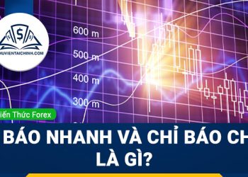 Chỉ Báo Nhanh Và Chỉ Báo Chậm Là Gì?