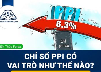 Chỉ Số PPI có vai trò như thế nào trong giao dịch Forex?