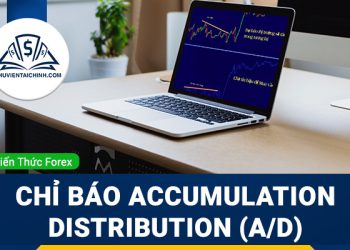Cách sử dụng chỉ báo Accumulation Distribution (A/D) trong Forex