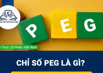 Chỉ số PEG là gì? Tìm hiểu về ý nghĩa và cách tính chỉ số PEG