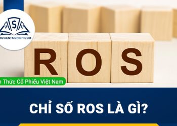 Chỉ số ROS là gì? Tỷ suất lợi nhuận trên doanh thu bao nhiêu là tốt?
