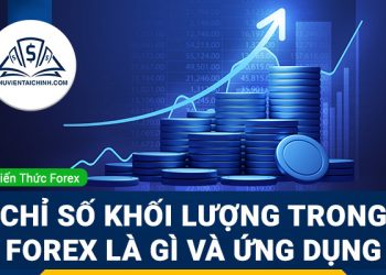Chỉ số khối lượng trong Forex là gì và ứng dụng