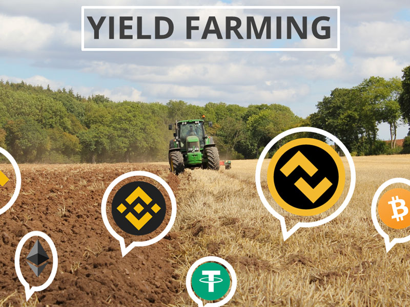 Tại sao Yield Farming lại bùng nổ?