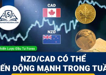 Chiến lược đầu tư - Cặp tiền NZDCAD có thể biến động tăng vọt trong tuần này