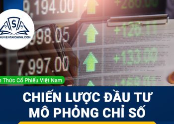 Phân tích ưu nhược điểm của chiến lược đầu tư mô phỏng chỉ số