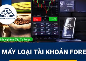Có mấy loại tài khoản forex ? Trader mới nên chọn tài khoản nào ?