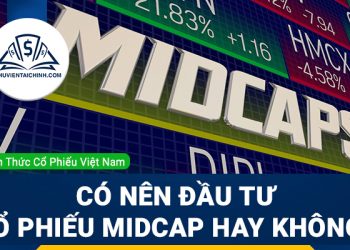 Cổ phiếu Midcap là gì? Có nên đầu tư cổ phiếu Midcap hay không?