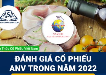 Nhận định đánh giá cổ phiếu ANV trong năm 2023
