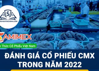Nhận định đánh giá cổ phiếu CMX trong năm 2023