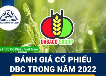 Nhận định đánh giá cổ phiếu DBC trong năm 2023