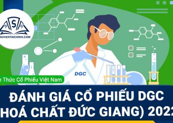 Nhận định đánh giá cổ phiếu DGC (Hóa Chất Đức Giang) trong năm 2023