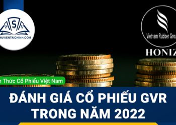 Nhận định đánh giá cổ phiếu GVR (Tập đoàn Cao Su Việt Nam) trong năm 2023