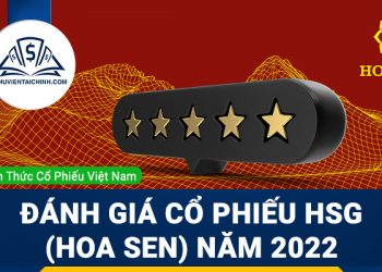 Nhận định đánh giá cổ phiếu HSG (Hoa Sen) trong năm 2023
