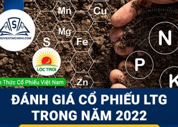 Nhận định đánh giá cổ phiếu LTG trong năm 2023