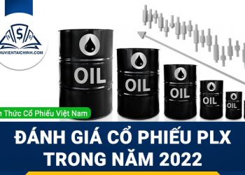 Nhận định đánh giá cổ phiếu PLX (Tập đoàn Xăng Dầu Việt Nam) trong năm 2023