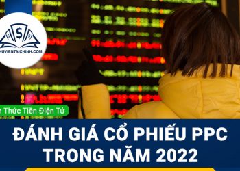 Nhận định đánh giá cổ phiếu PPC trong năm 2023