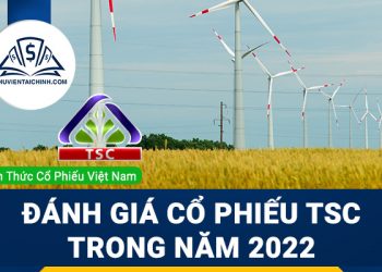 Nhận định đánh giá cổ phiếu TSC trong năm 2023