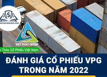 Nhận định đánh giá cổ phiếu VPG trong năm 2023