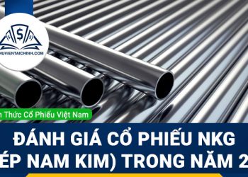Nhận định đánh giá cổ phiếu NKG (Thép Nam Kim) trong năm 2023