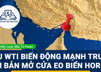 Forex (11-15/05): Dầu WTI biến động mạnh trước kịch bản mở cửa eo biển Hormuz