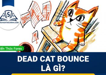 Dead Cat Bounce là gì? Hướng dẫn giao dịch với mô hình cú nảy mèo chết