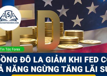 Đồng đô la suy yếu khi Fed có khả năng tạm ngừng tăng lãi suất