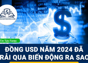 Đồng USD năm 2024